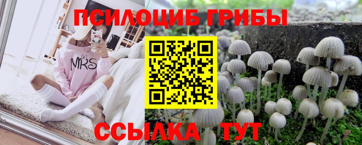 что такое   Вход с VPN  Лениногорск  Псилоцибиновые грибы Magic Shrooms  Галлюциногенные грибы мицелий 