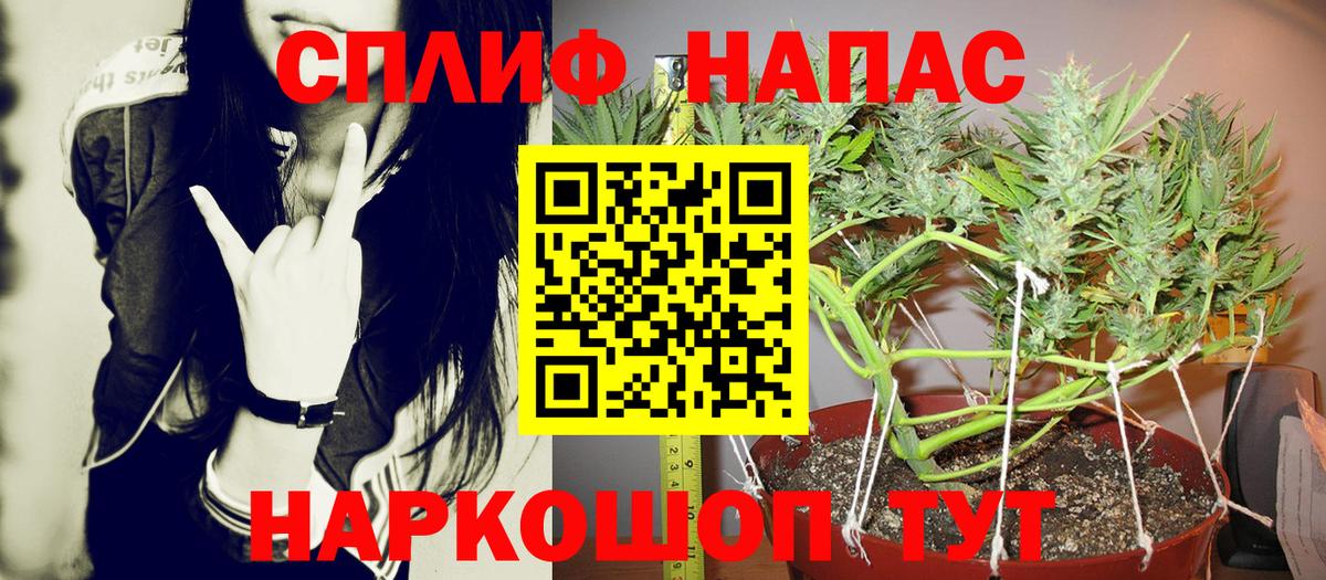 Марихуана семена Лениногорск